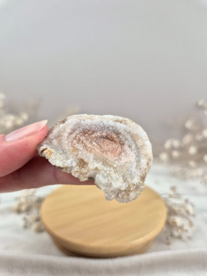 Chalcedon Rose (4)