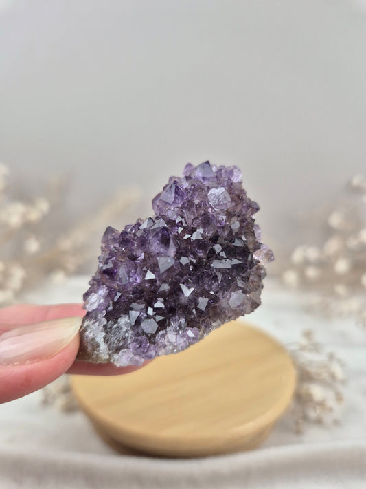 Amethyst Cluster (2)
