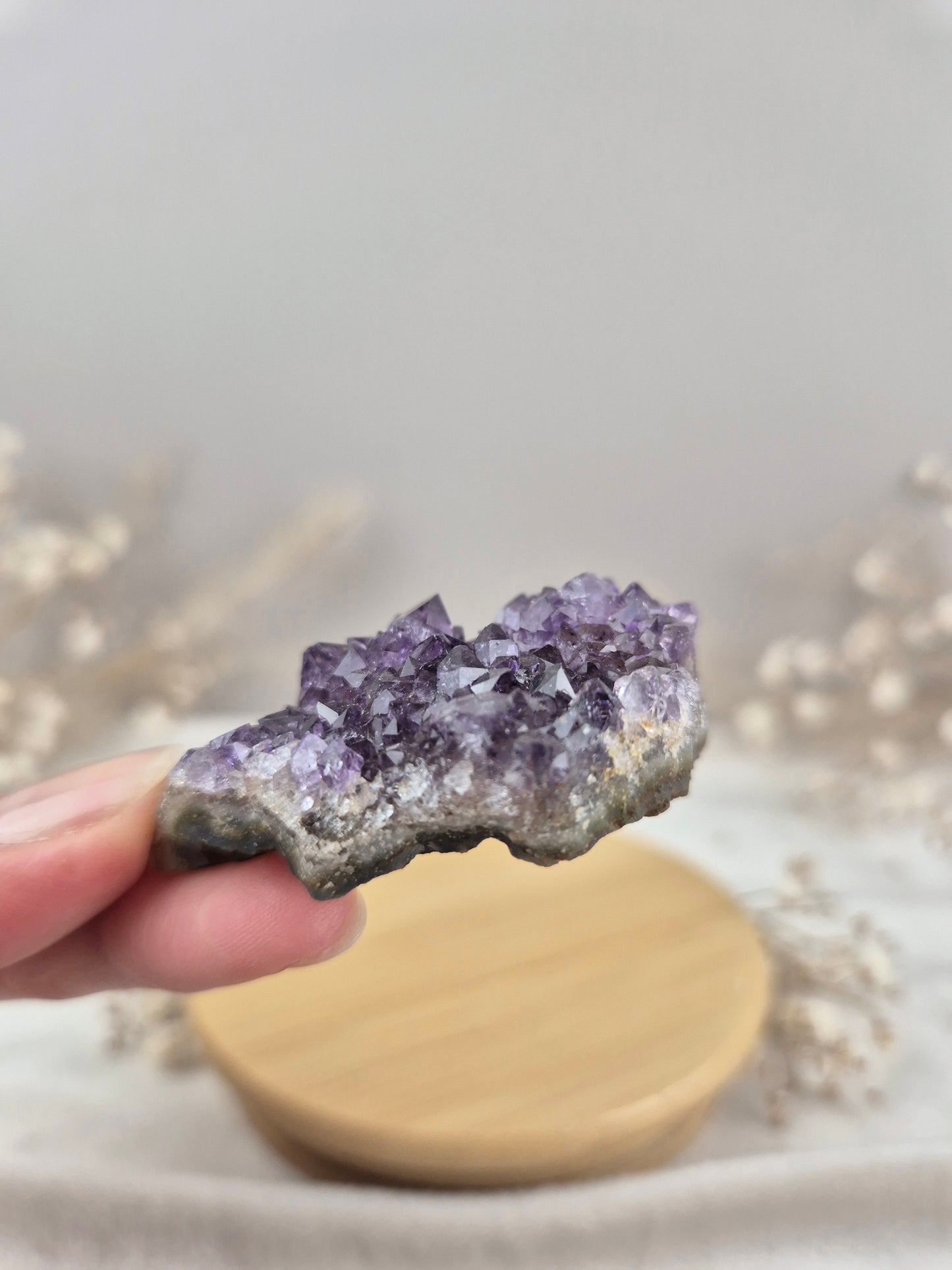 Amethyst Cluster (2)
