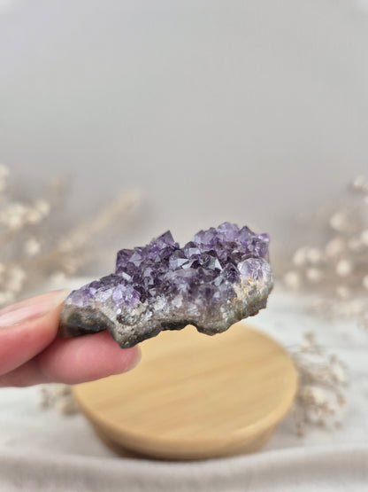 Amethyst Cluster (2)