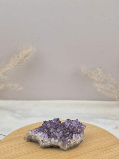 Amethyst Cluster (2)