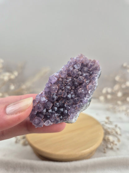 Amethyst Cluster (3)