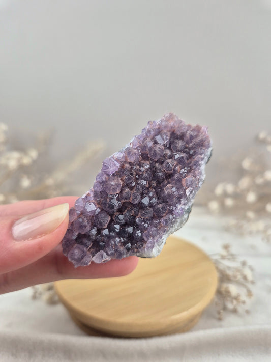 Amethyst Cluster (3)