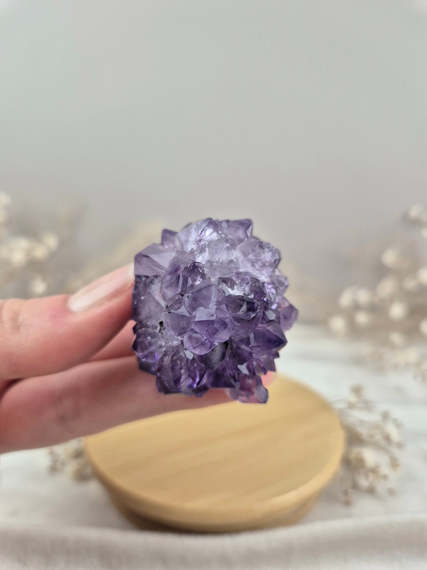 Amethyst Cluster (4)