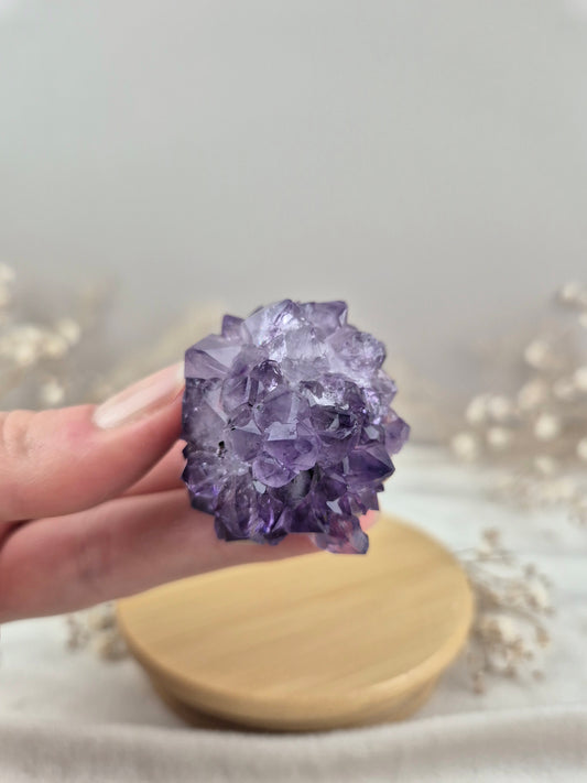 Amethyst Cluster (4)
