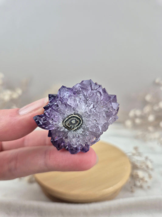 Amethyst Cluster (4)