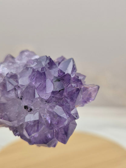 Amethyst Cluster (4)