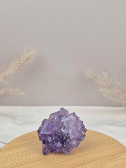 Amethyst Cluster (4)