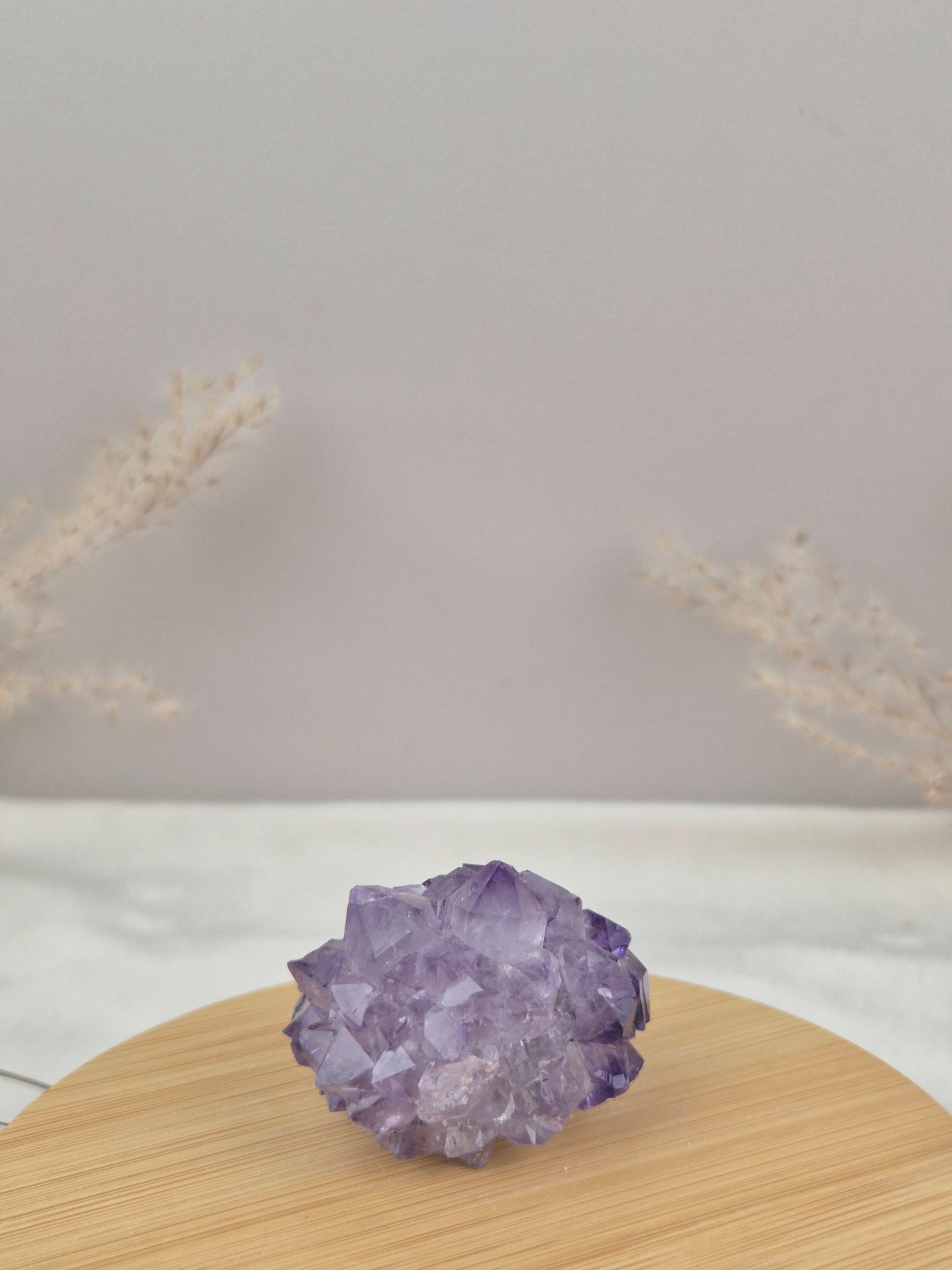 Amethyst Cluster (4)