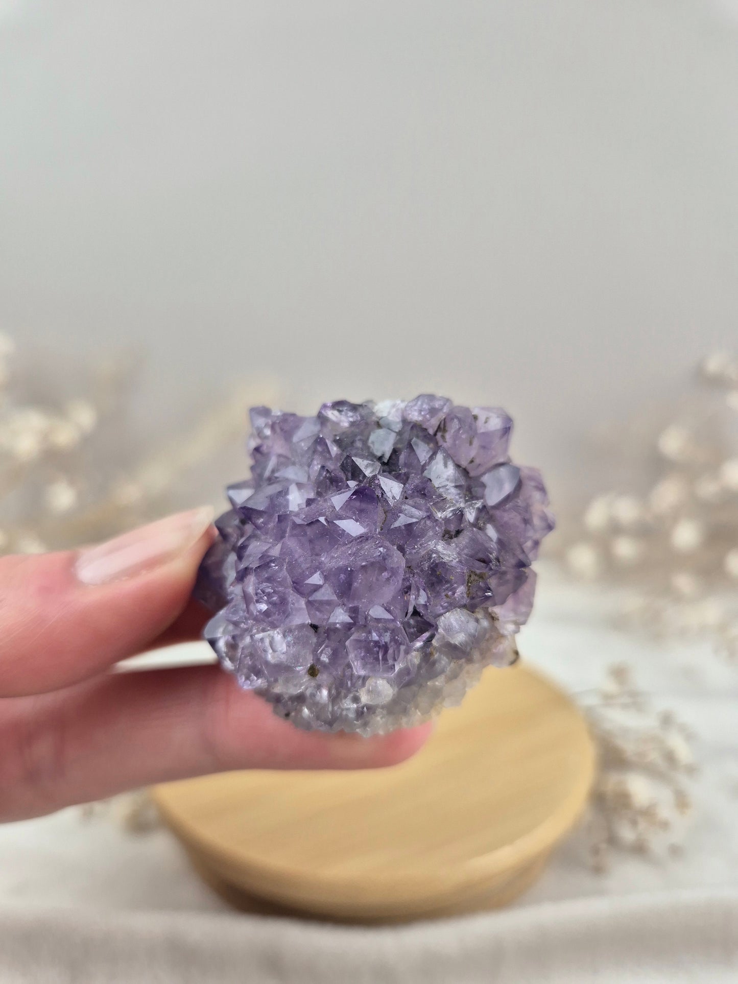 Amethyst Cluster (5)