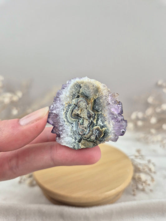 Amethyst Cluster (5)