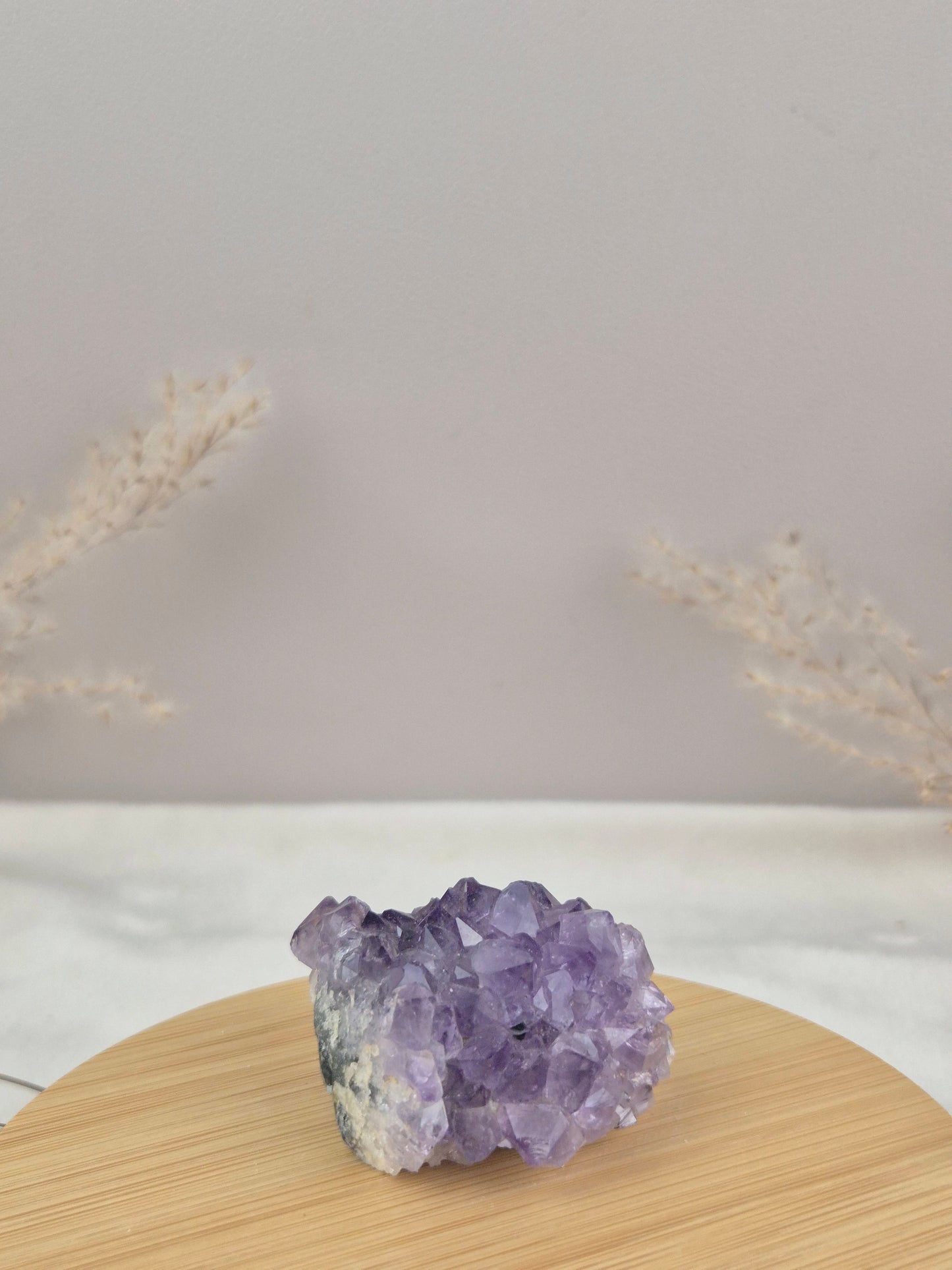 Amethyst Cluster (5)