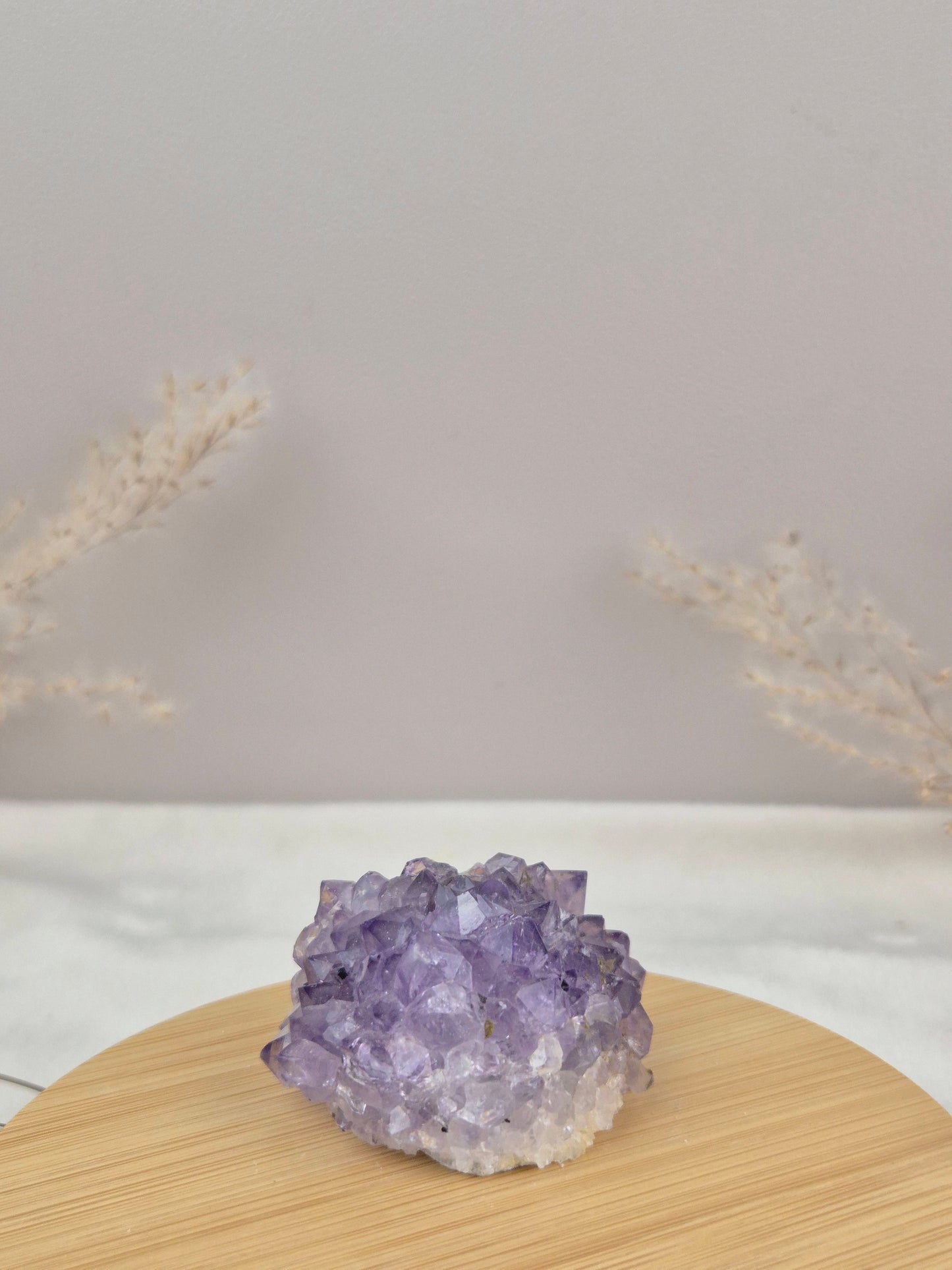 Amethyst Cluster (5)