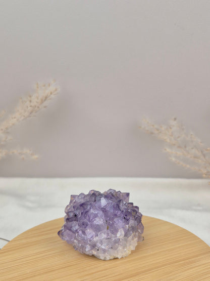 Amethyst Cluster (5)