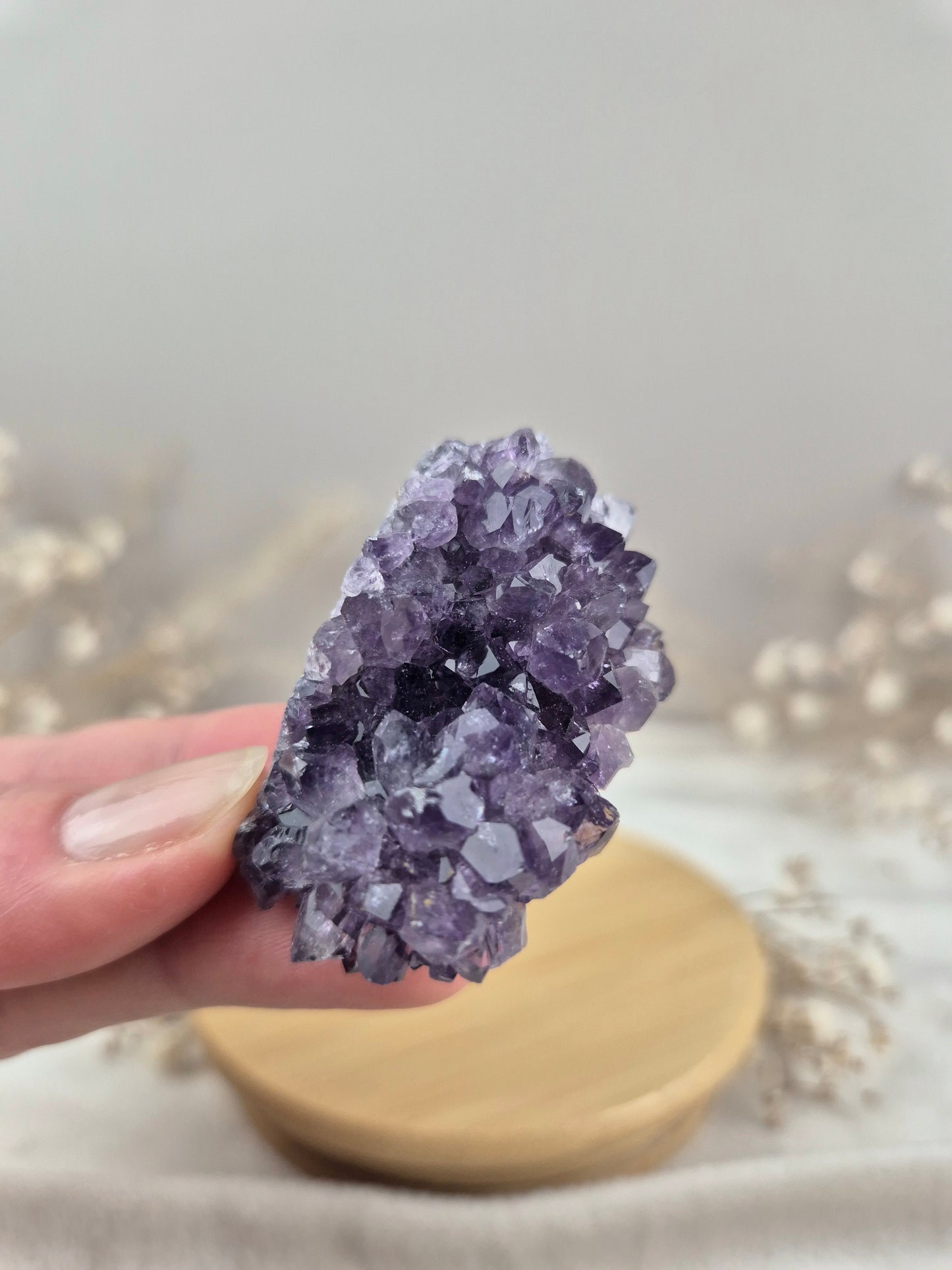 Amethyst Cluster (6)