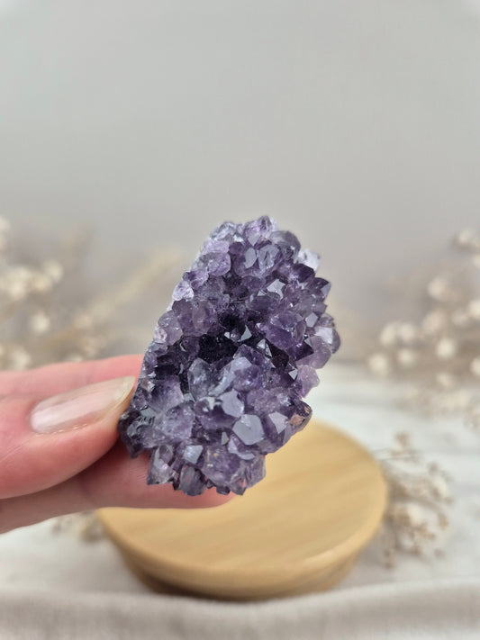 Amethyst Cluster (6)