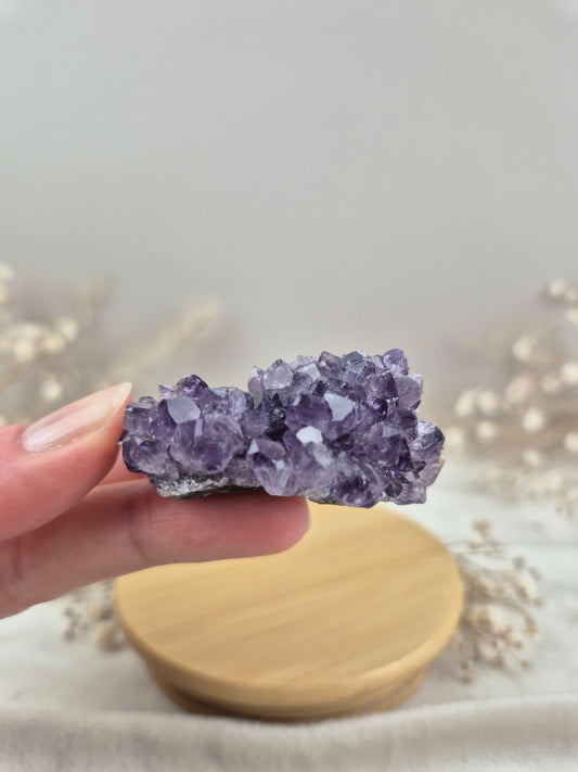 Amethyst Cluster (6)