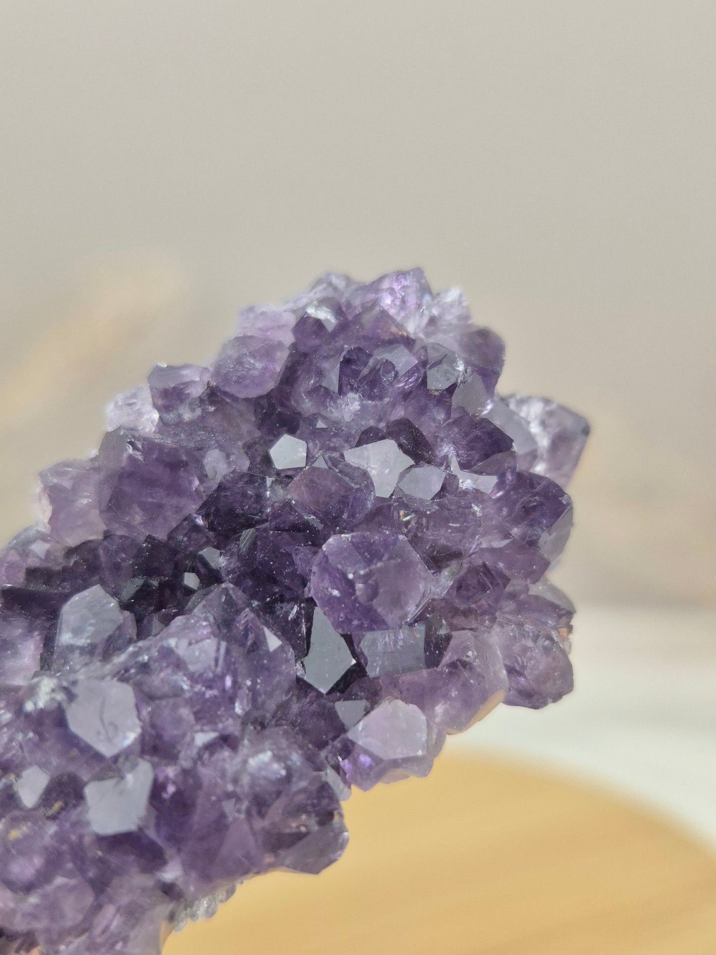 Amethyst Cluster (6)