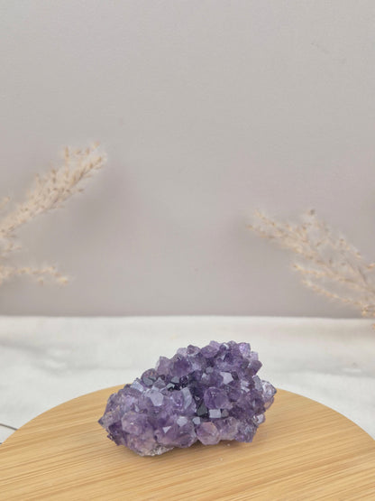 Amethyst Cluster (6)
