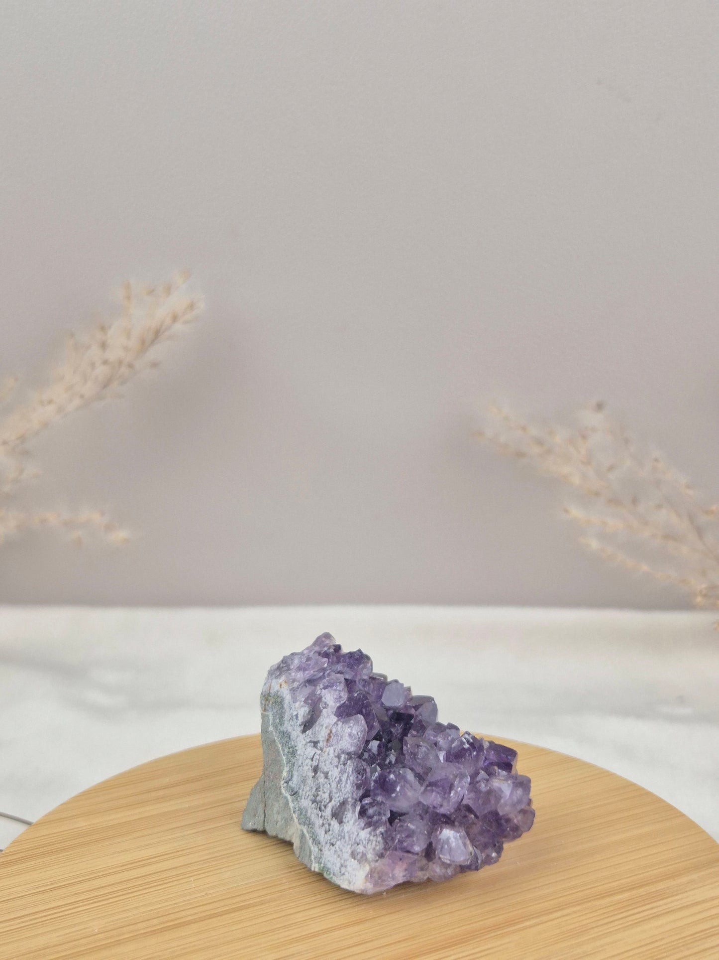 Amethyst Cluster (6)