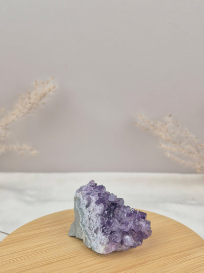 Amethyst Cluster (6)