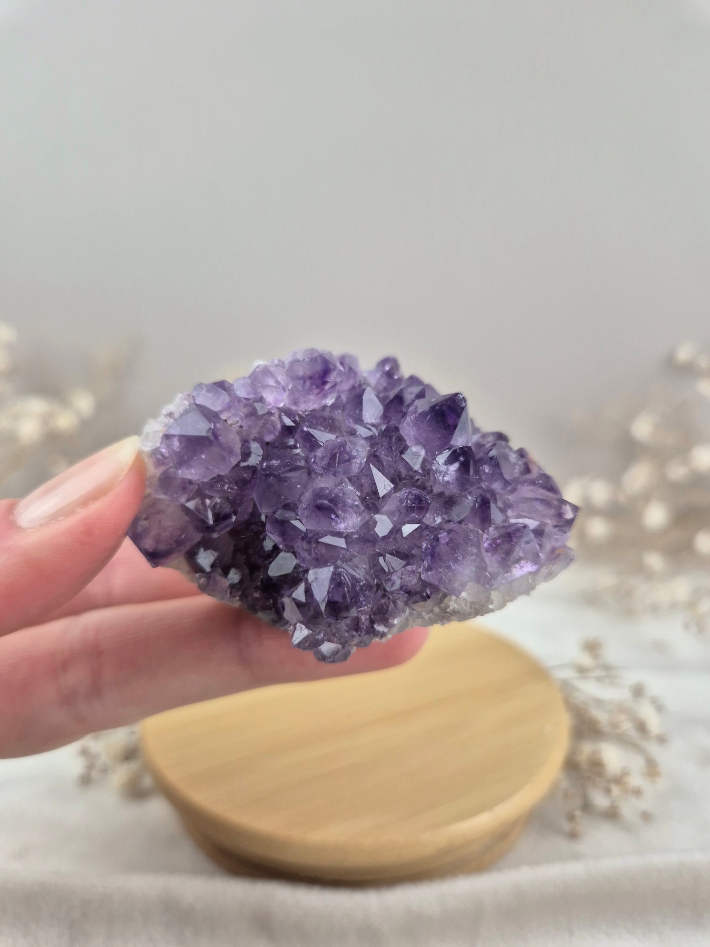Amethyst Cluster (7)