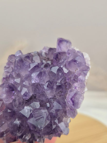 Amethyst Cluster (7)