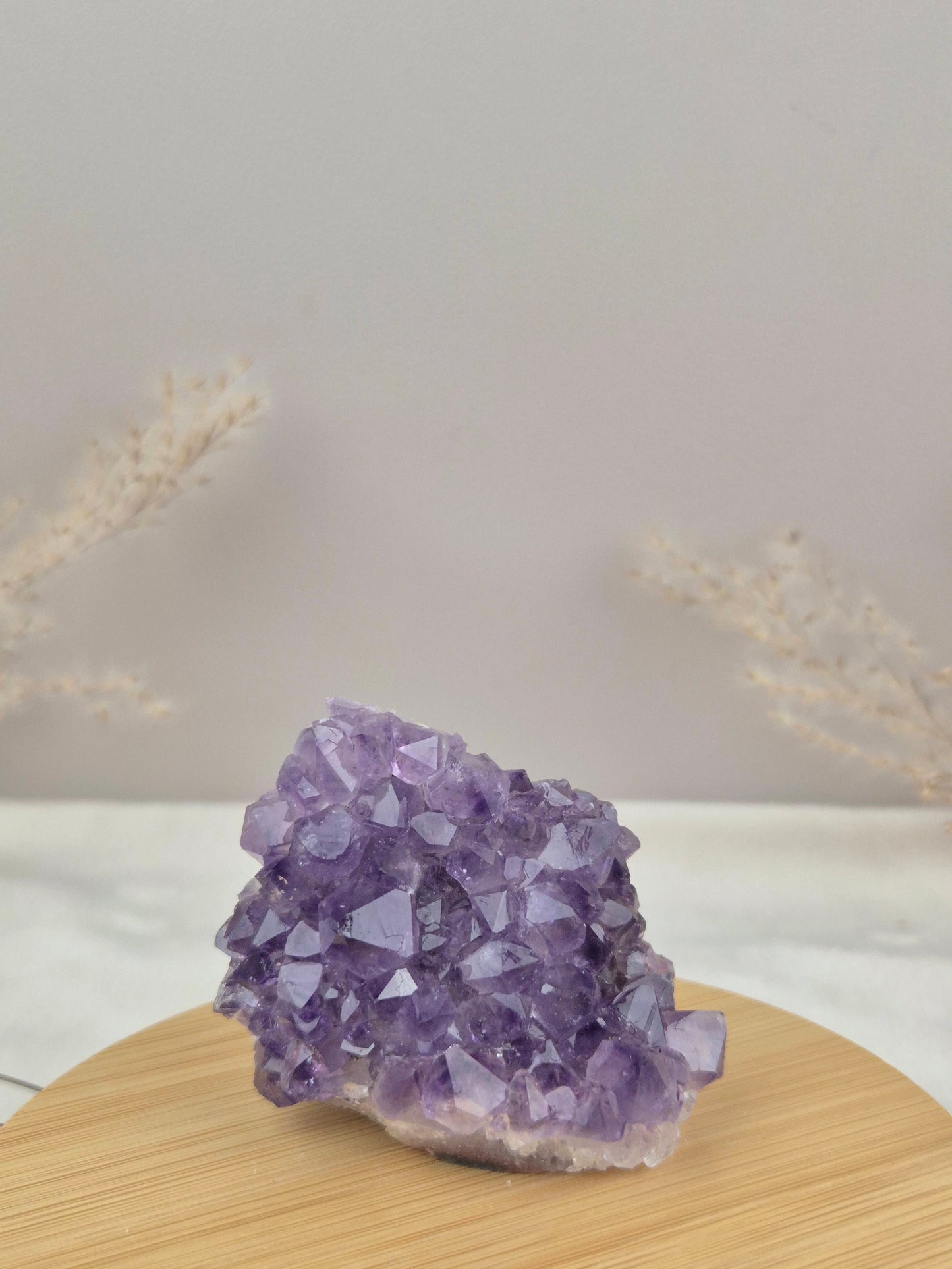 Amethyst Cluster (7)