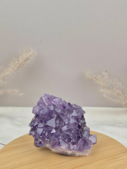 Amethyst Cluster (7)