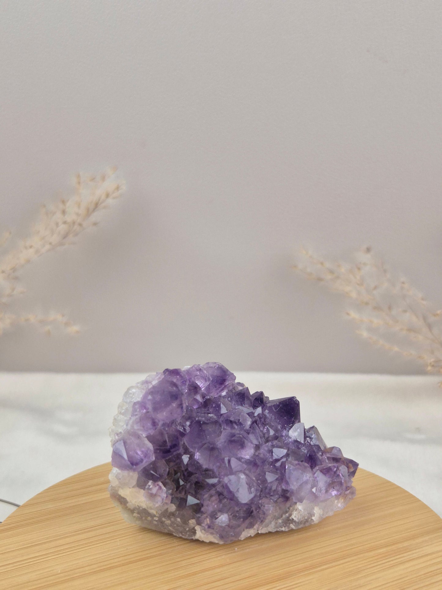 Amethyst Cluster (7)