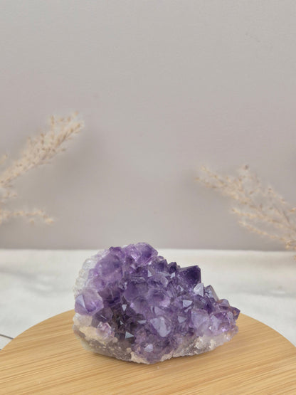 Amethyst Cluster (7)