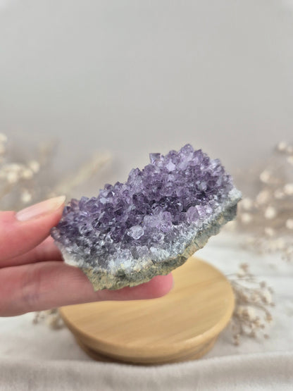 Amethyst Cluster (8)