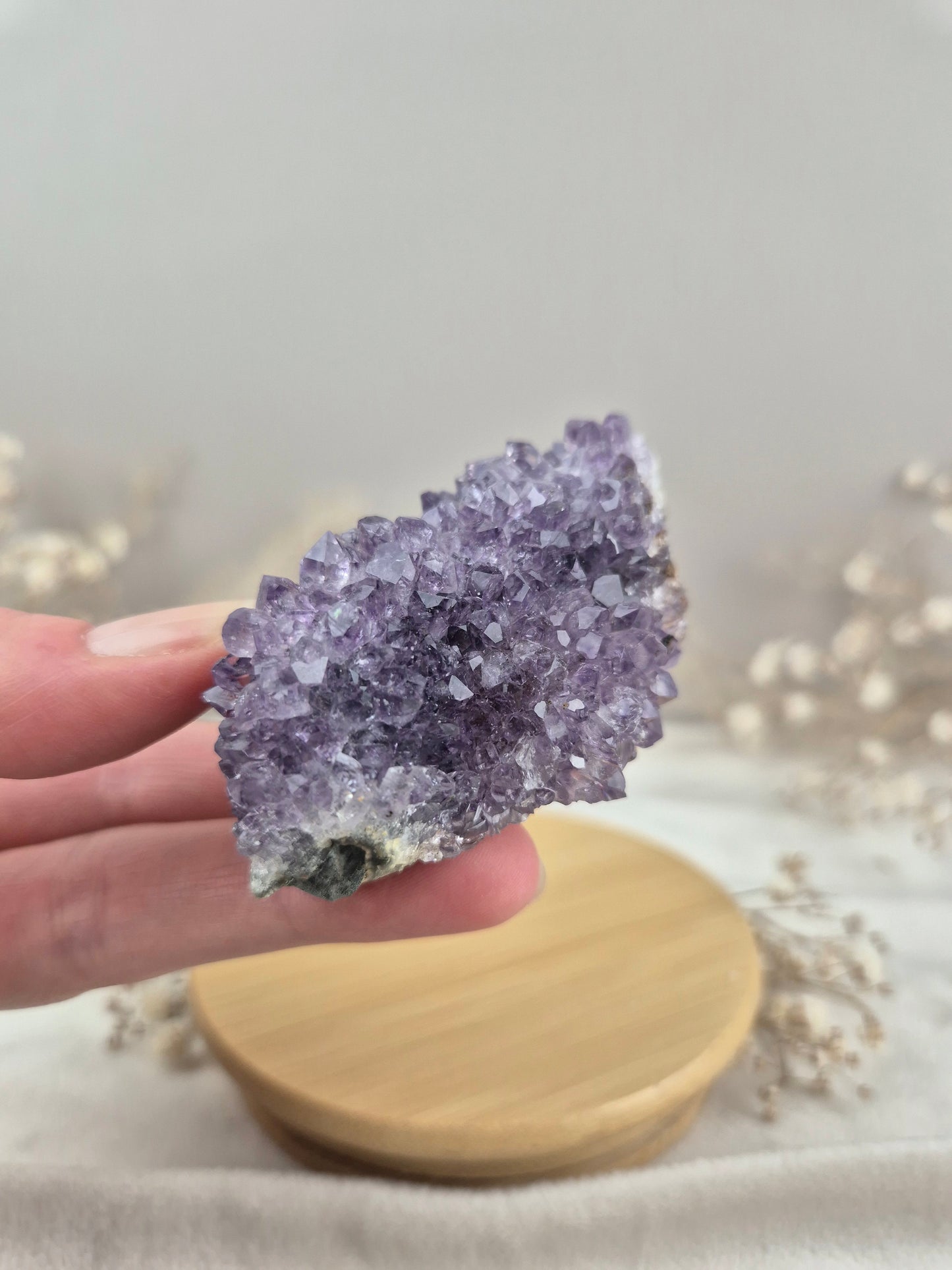 Amethyst Cluster (8)