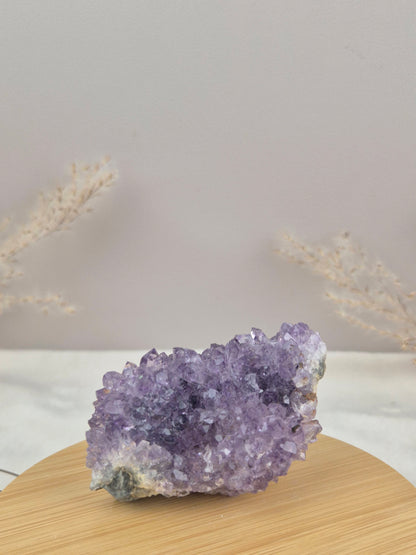 Amethyst Cluster (8)