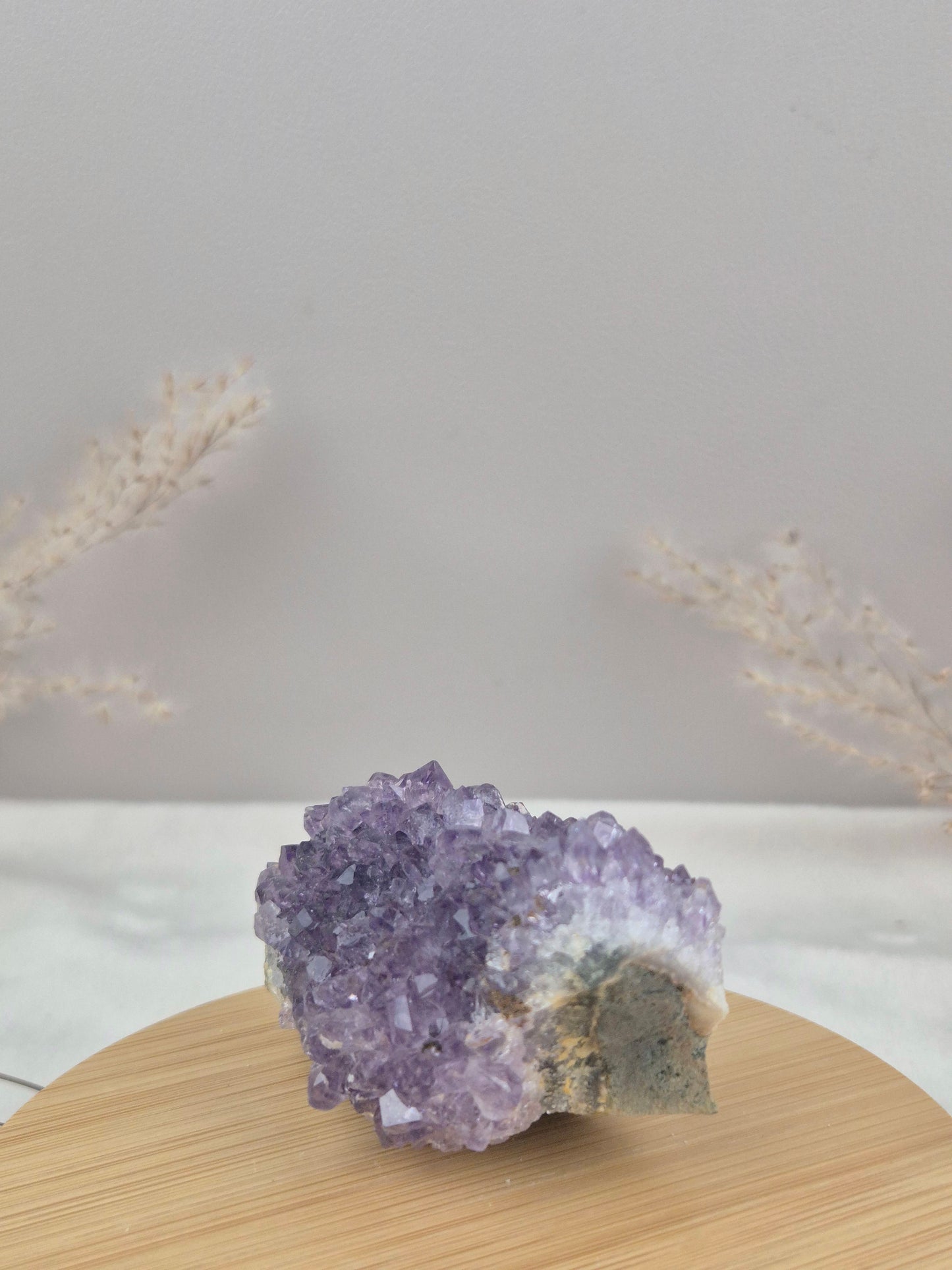Amethyst Cluster (8)