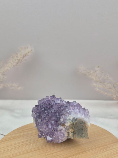 Amethyst Cluster (8)