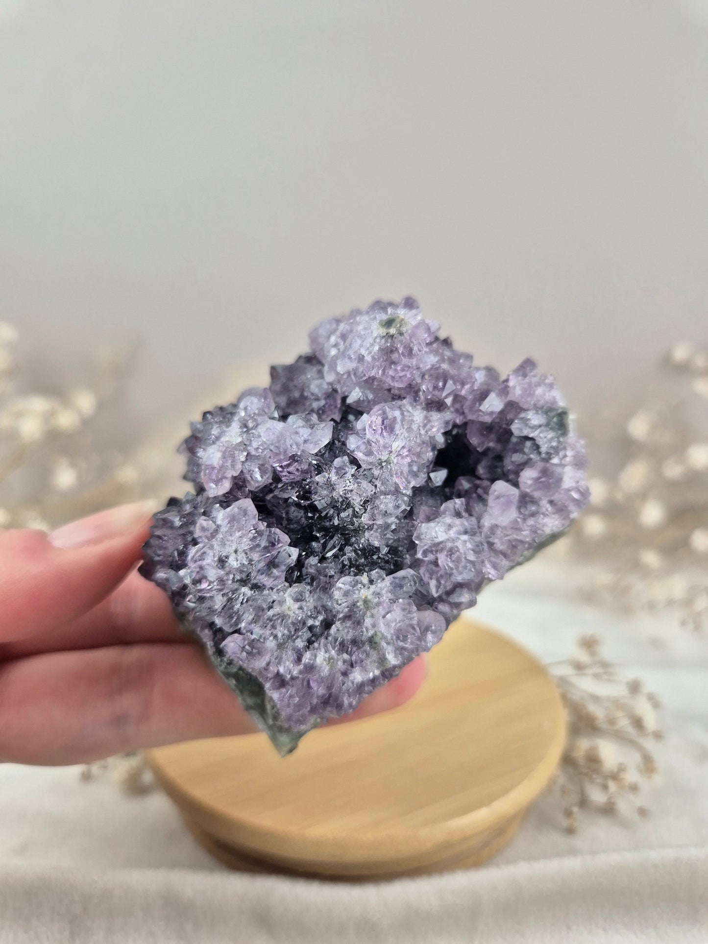 Amethyst Cluster (9)
