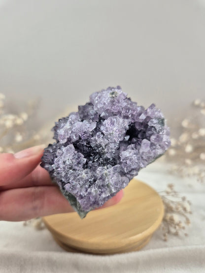 Amethyst Cluster (9)