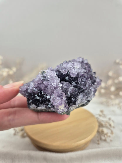 Amethyst Cluster (9)