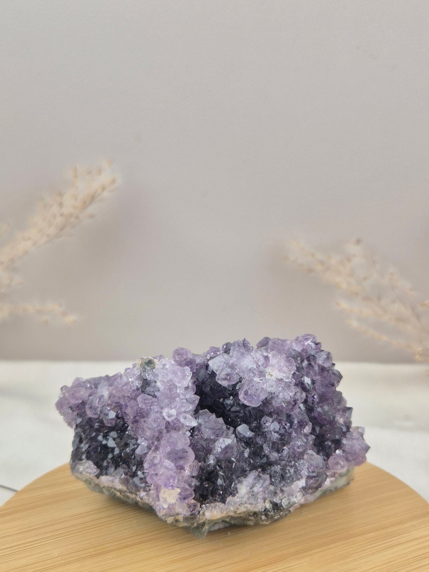 Amethyst Cluster (9)