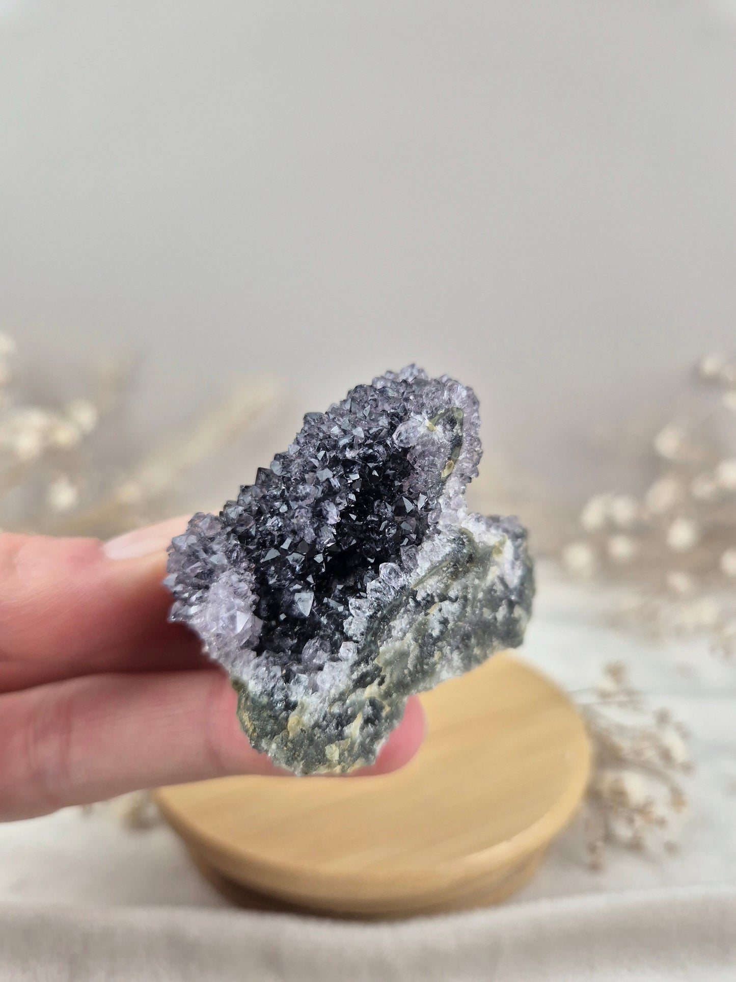 Amethyst Cluster (10)