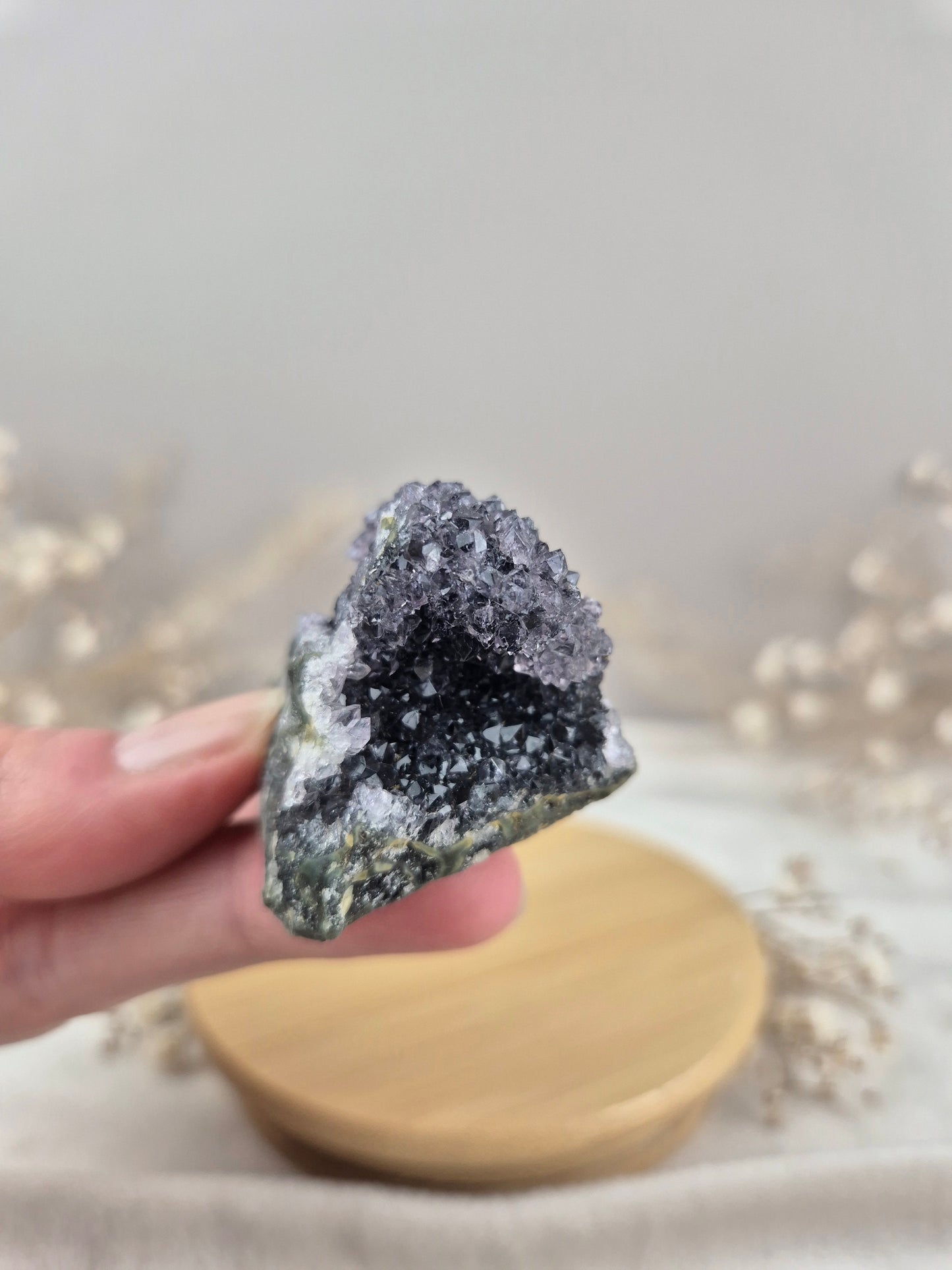 Amethyst Cluster (10)