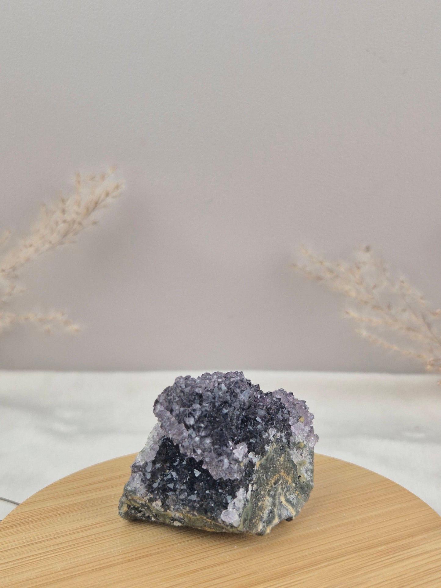 Amethyst Cluster (10)