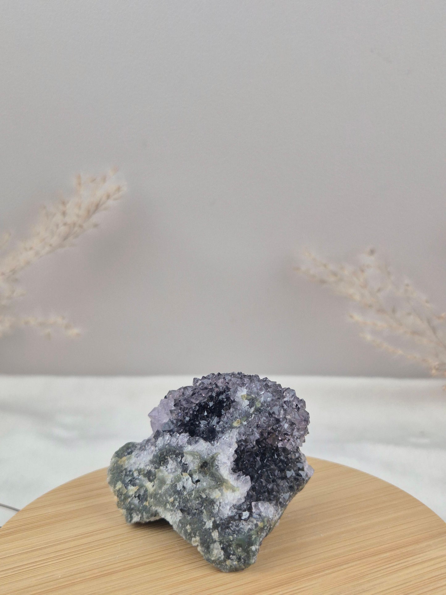 Amethyst Cluster (10)