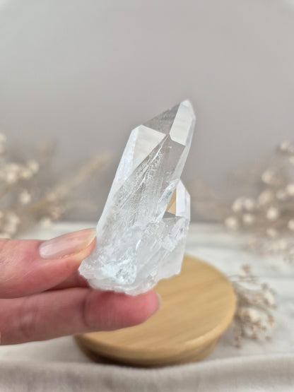 Bergkristall Stufe (5)