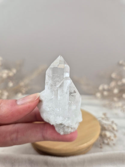Bergkristall Stufe (8)
