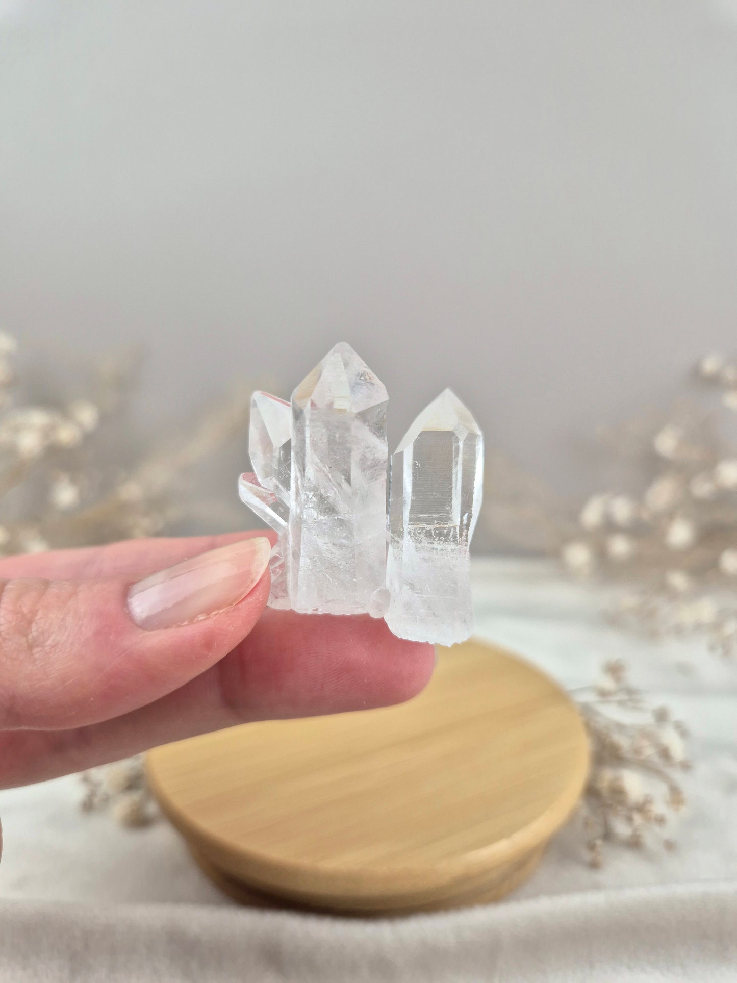 Bergkristall Stufe (11)