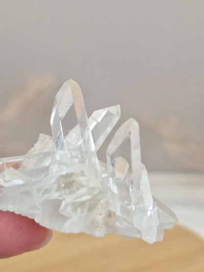 Bergkristall Stufe (12)