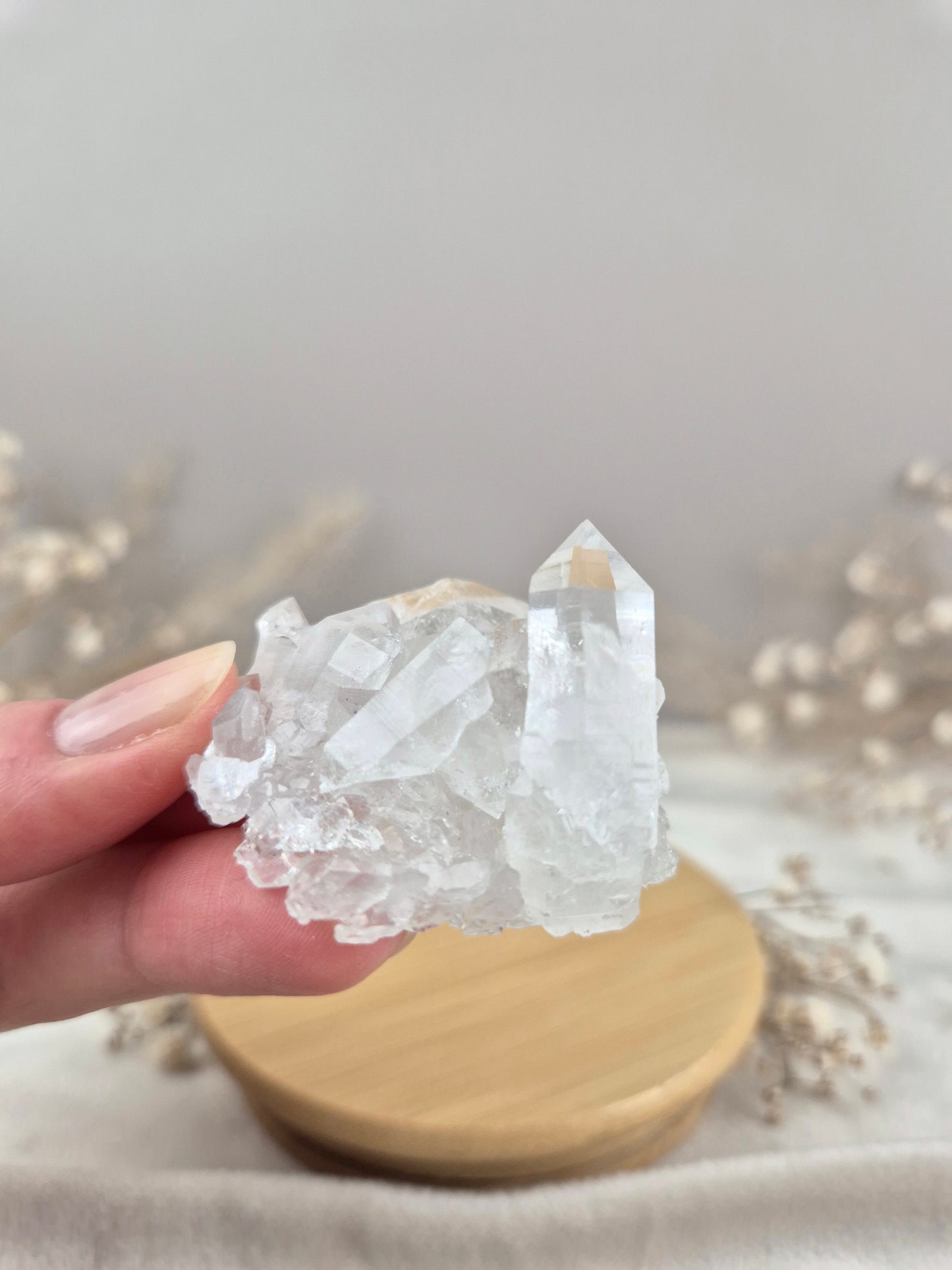 Bergkristall Stufe (15)
