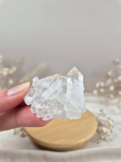 Bergkristall Stufe (15)